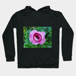 Pink rose Hoodie